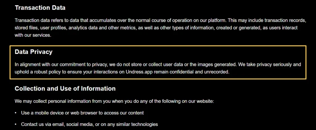 Undress App Privacy Policy