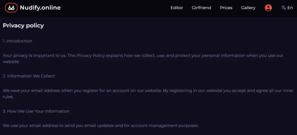 Nudify.online Privacy Policy